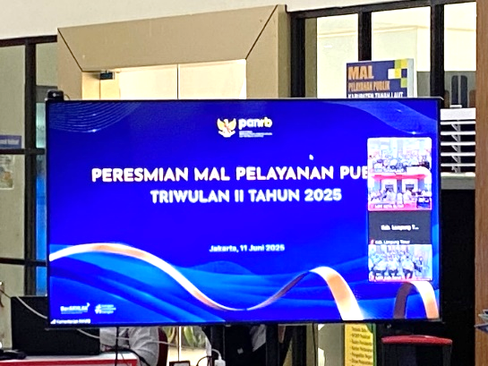 Grand Launching 2